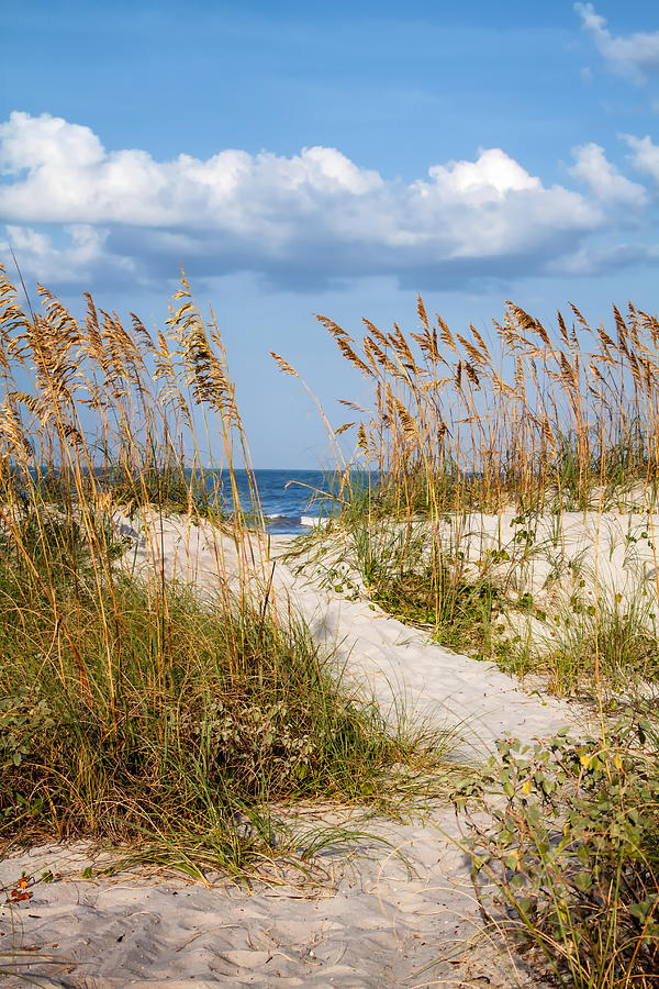 Dune Pathway at the Beach Photograph by Dawna Moore Photography