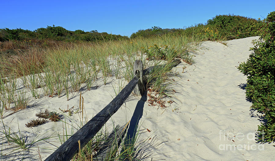 Dune Pathway Photograph by Mary Haber