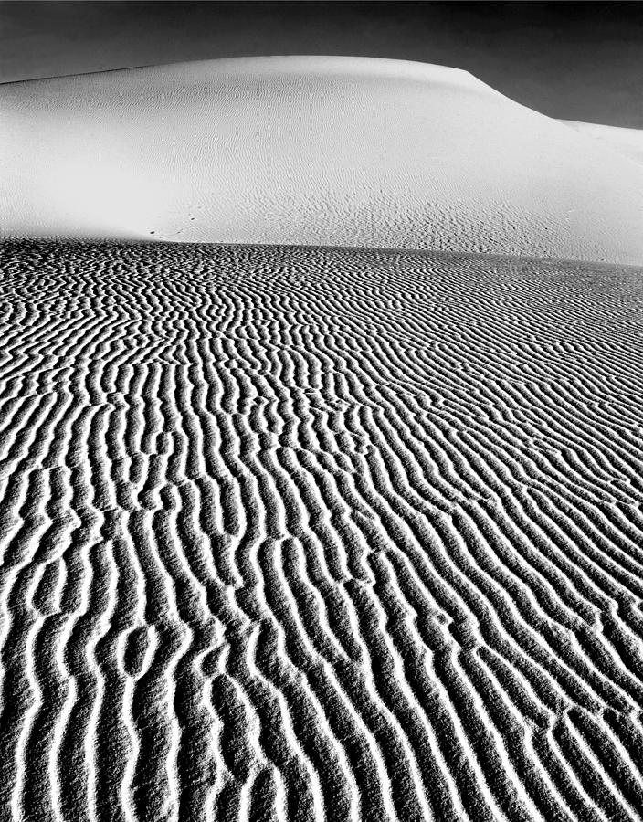 214825-BW-Dune Patterns  Photograph by Ed  Cooper Photography