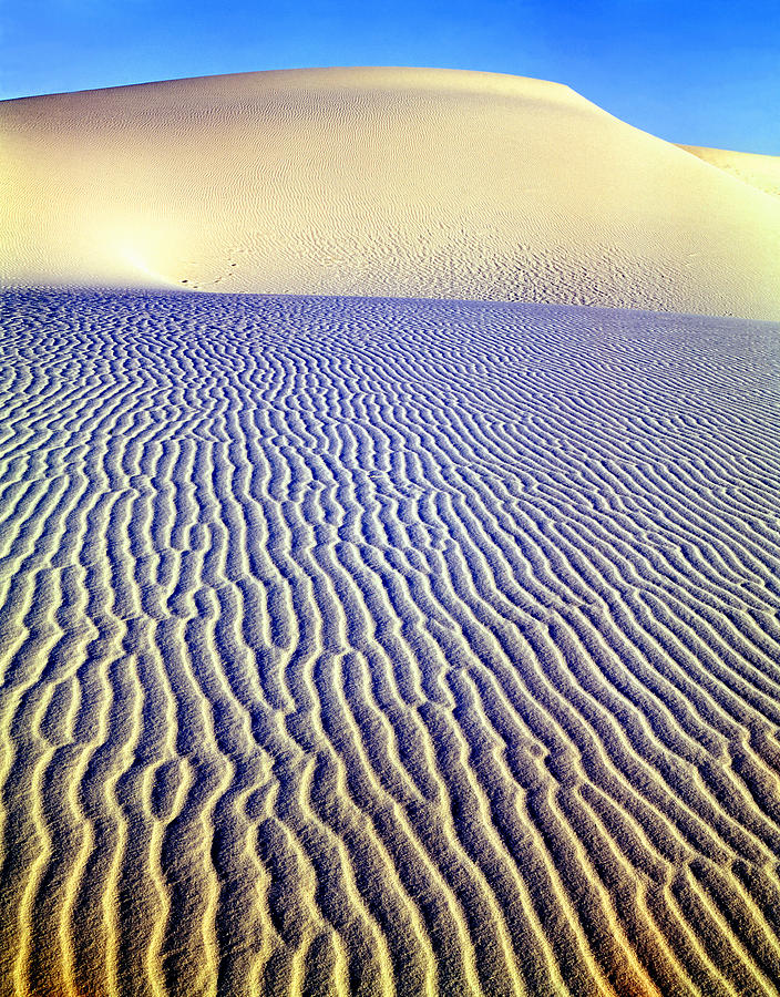 214825-Dune Patterns  Photograph by Ed  Cooper Photography