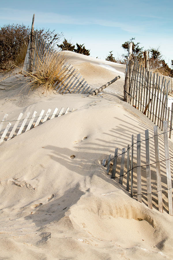 Dune Patterns Photograph by Kristia Adams