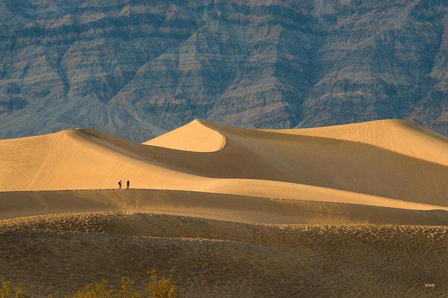 Dune Photographers Photograph by Dana Sohr