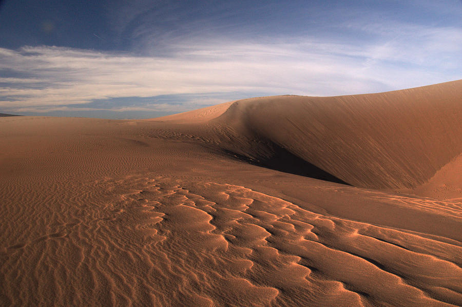 Dune Pleasures Photograph by Al Swasey
