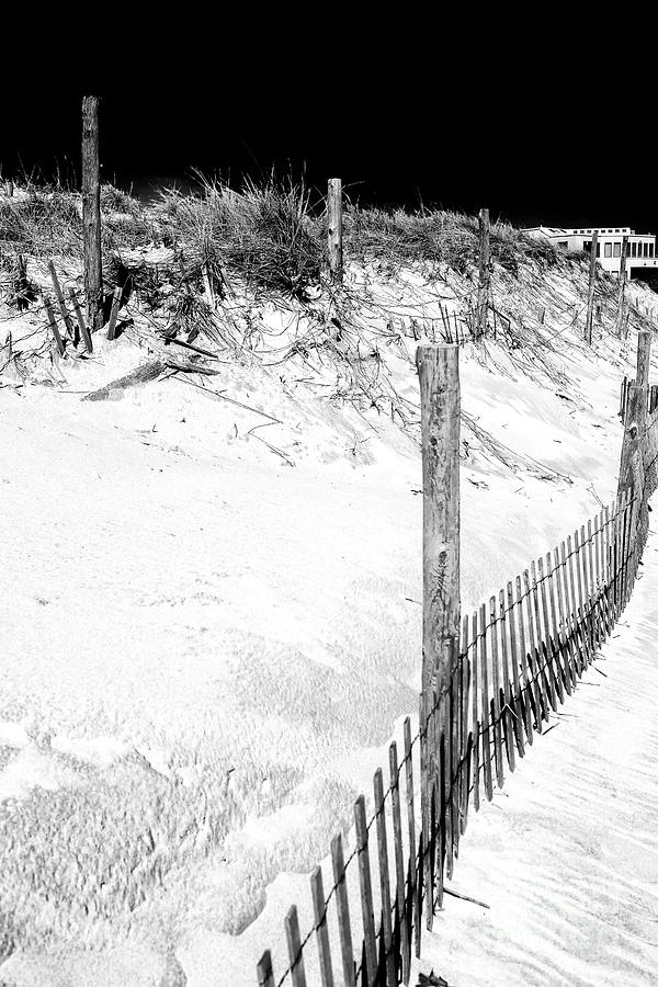 Dune Protection at Long Beach Island Photograph by John Rizzuto
