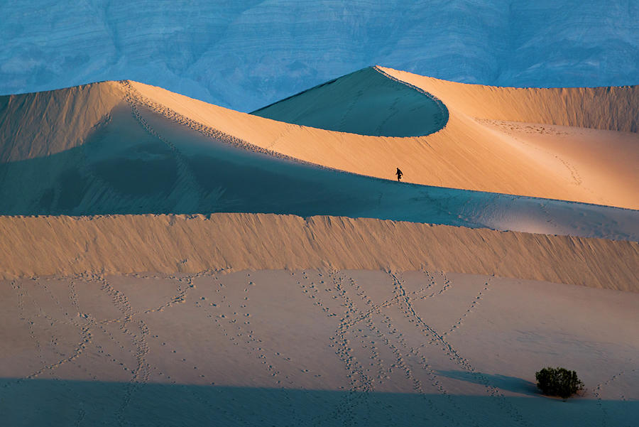 Dune Runner Photograph by Joe Doherty