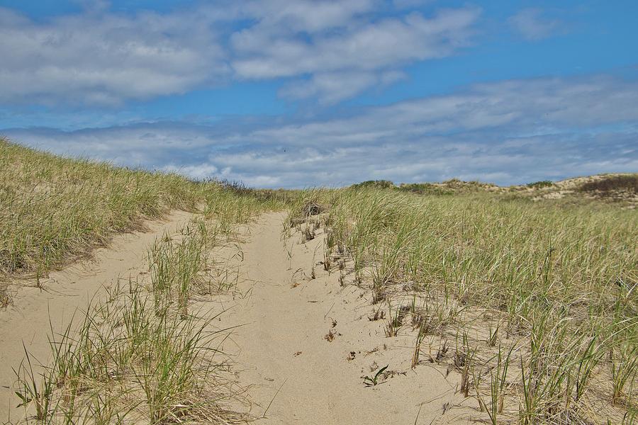 Dune Shack Path Photograph by Marisa Geraghty Photography