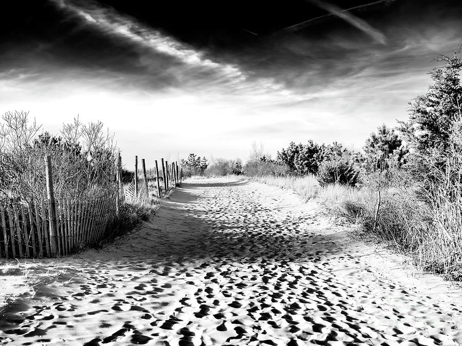 Dune Shadows at Harvey Cedars on Long Beach Island Photograph by John Rizzuto