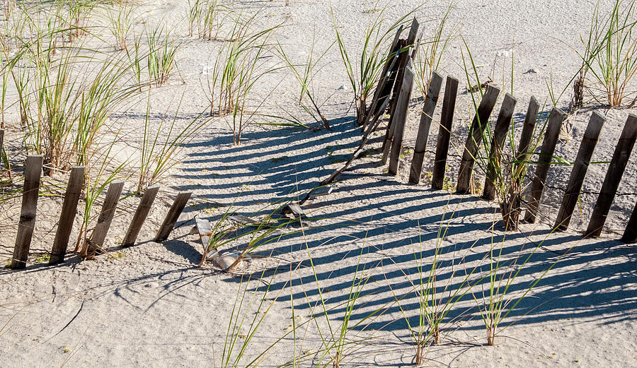 Dune Shadows Photograph by Cathy Kovarik