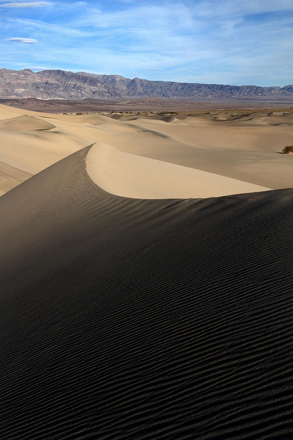 Dune Shadows Photograph by Pierre Leclerc Photography - Fine Art America