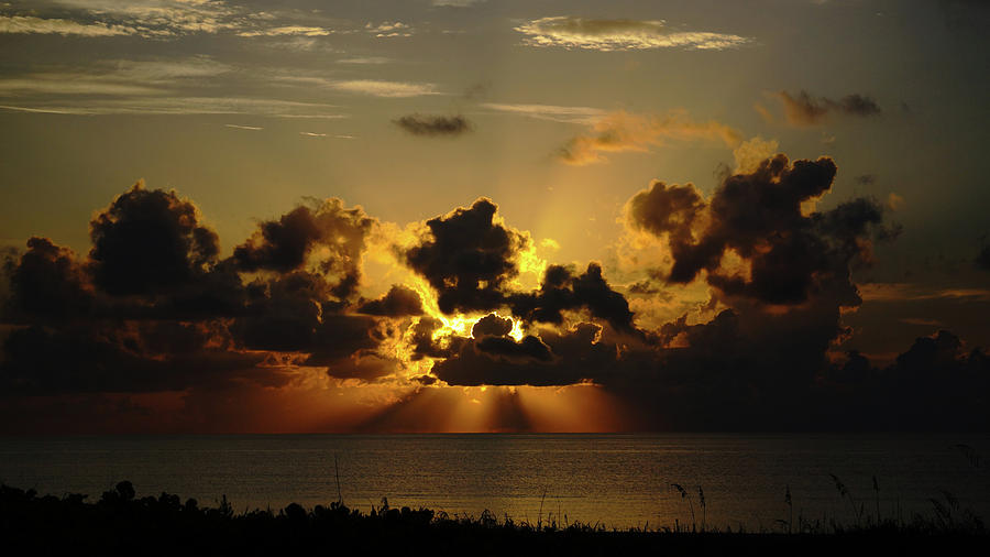 Dune Sunrise Delray Beach Florida Photograph by Lawrence S Richardson Jr