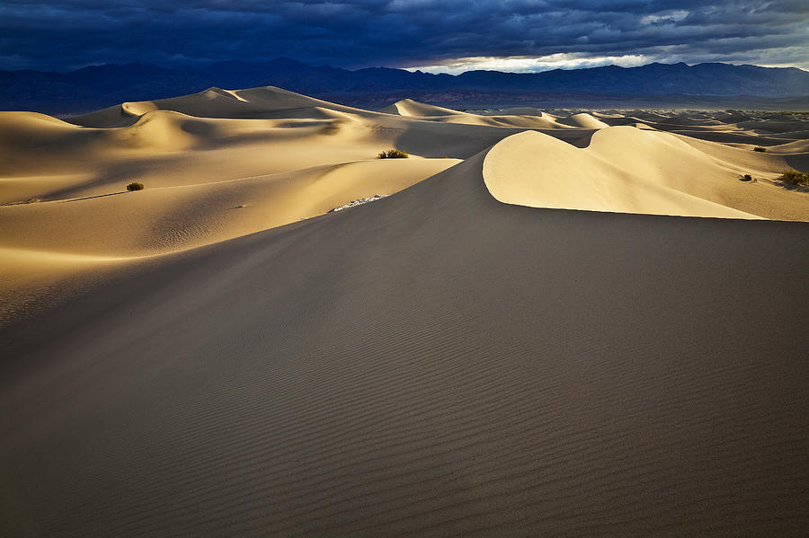 Dune Sunrise Photograph by Greg Clure - Fine Art America