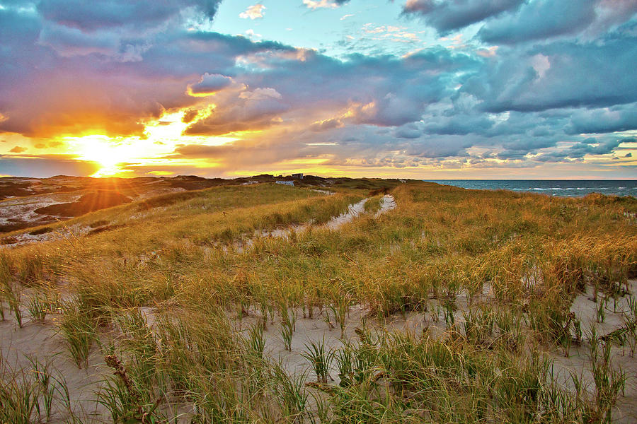 Dune Sunset Photograph by Marisa Geraghty Photography
