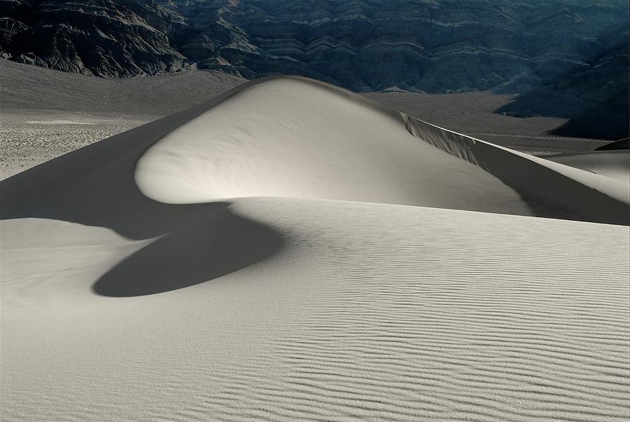 Dune Sweep Photograph by David Andersen
