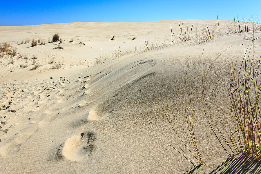Dune Textures at Jockey Ridge Photograph by Joni Eskridge
