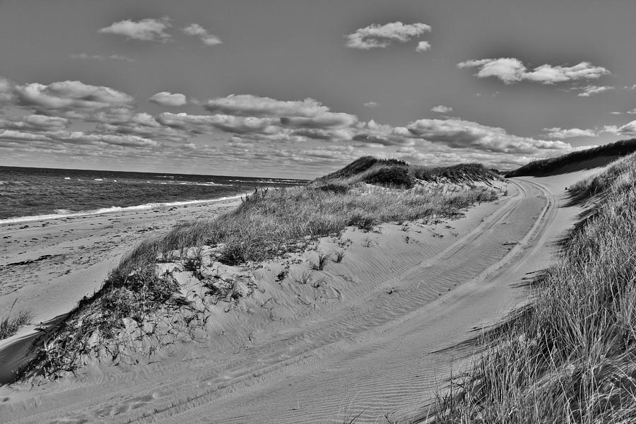 Dune Tracks in Black and White Photograph by Marisa Geraghty Photography