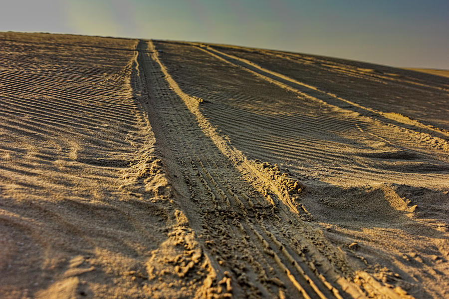 Dune Tracks Photograph by Josh Bryant