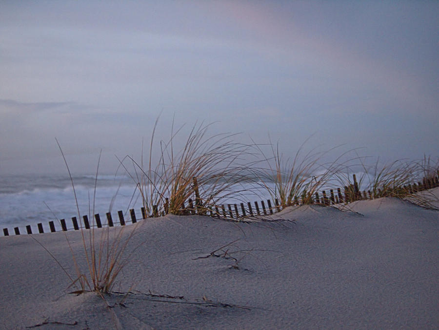 Dune View 2 Photograph by  Newwwman