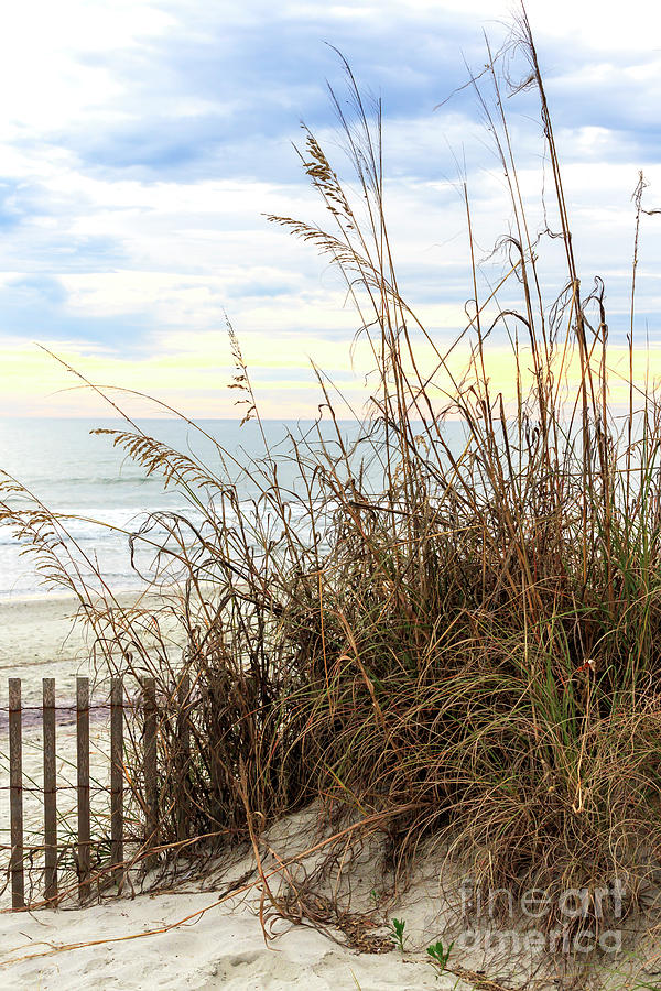 Dune View at North Myrtle Beach Photograph by John Rizzuto