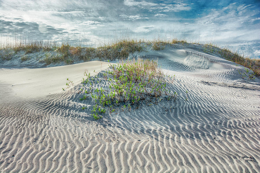 Dune#231 Photograph by WAZgriffin Digital