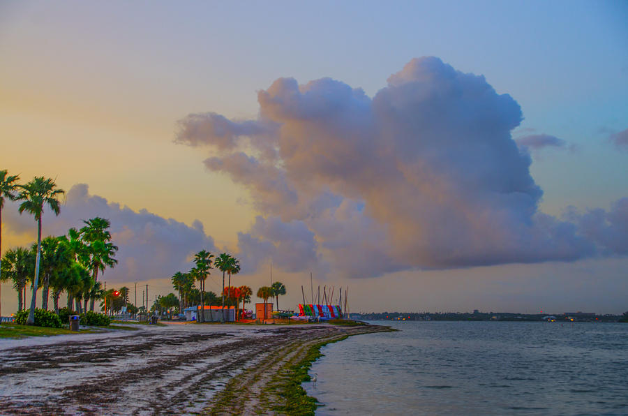 Dunedin Causeway - Dunedin Florida Photograph by Bill Cannon