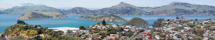 Dunedin Suburb Panorama Photograph by Ramunas Bruzas