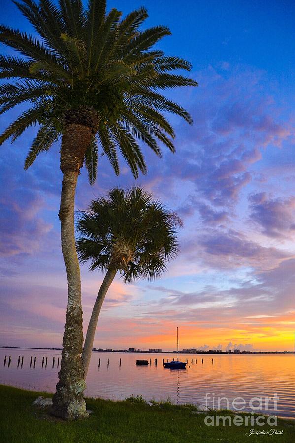 Dunedin Sunset by Jacqueline Faust Dunedin Sunset by Jacqueline Faust