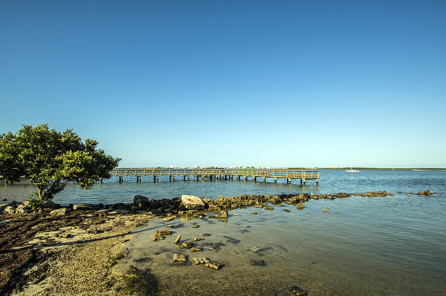 Dunedin Vista Photograph by Karl Mahnke - Fine Art America