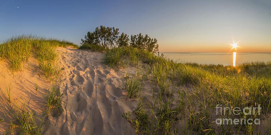 Sleeping Photograph - Dunegrass at Sunset by Twenty Two North Photography Sleeping Photograph - Dunegrass at Sunset by Twenty Two North Photography