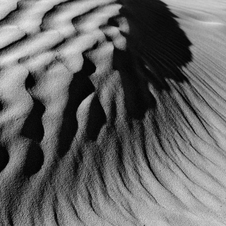 Abstract Photograph - Dunes 14 by Mihai Florea Abstract Photograph - Dunes 14 by Mihai Florea