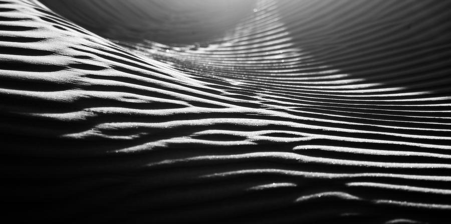 Sand Photograph - Dunes 2 by Mihai Florea Sand Photograph - Dunes 2 by Mihai Florea