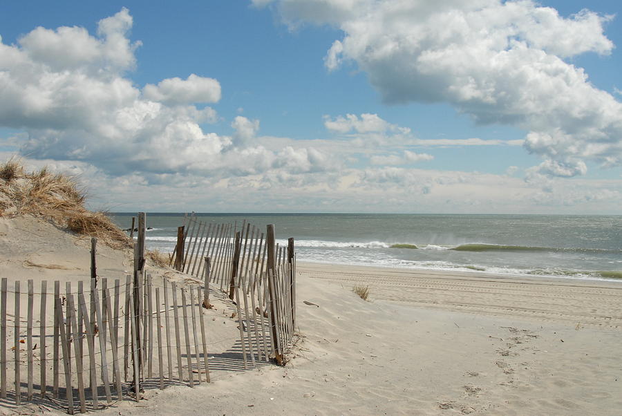 Long Beach Island Photograph - Dunes 4 by Joyce StJames Long Beach Island Photograph - Dunes 4 by Joyce StJames