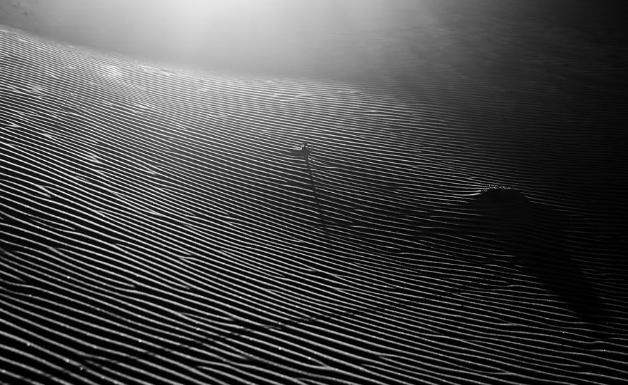 Sand Photograph - Dunes 4 by Mihai Florea
