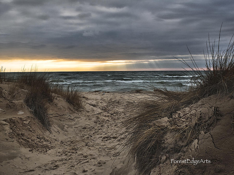 Dunes Along Lake Michigan in Ludington Photograph by Dick Bourgault