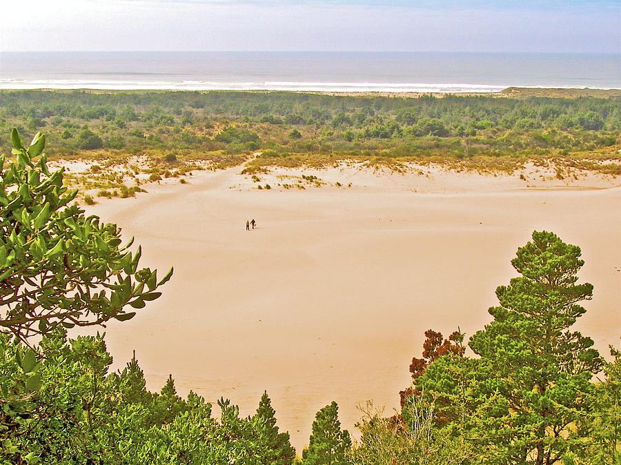 Dunes along the Pacific Ocean in Oregon Dunes National Recreation Area, Oregon Photograph by Ruth Hager