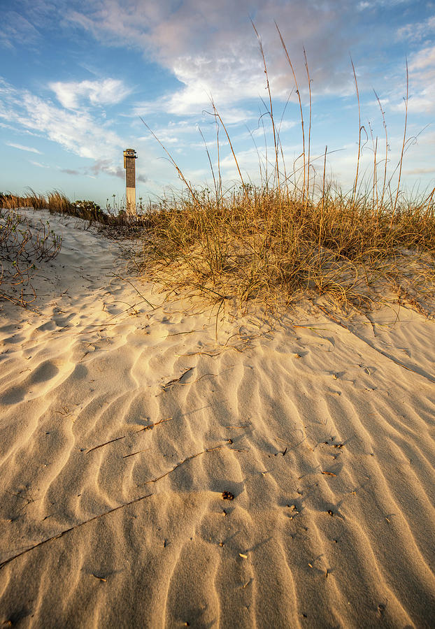 Dunes and Lighthouse  - Sullivans Island, SC Photograph by Donnie Whitaker