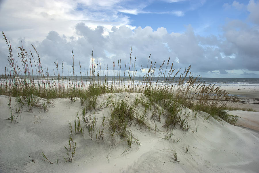2007 Photograph - Dunes and Sea Oats by Lauren Brice 2007 Photograph - Dunes and Sea Oats by Lauren Brice
