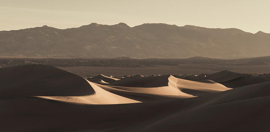 Dunes at dawn Photograph by Scott Rackers