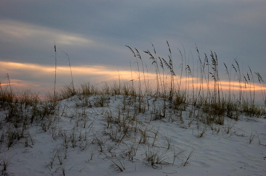 Dunes at Sunset Photograph by Beth Collins