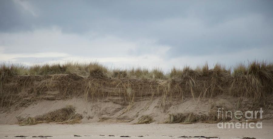 Dunes at tentsmuir against a painterly sky  Photograph by Lynn England