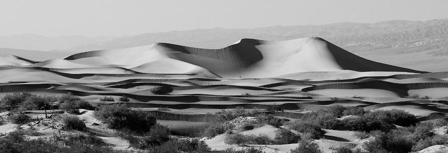 Dunes Photograph by Bethany Dhunjisha