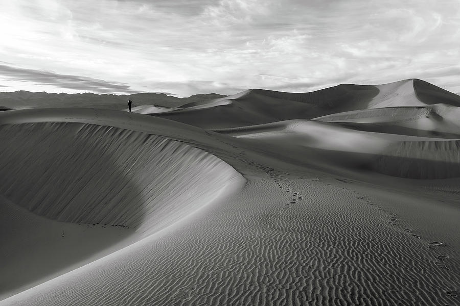 Dunes Bw Photograph by Jonathan Nguyen