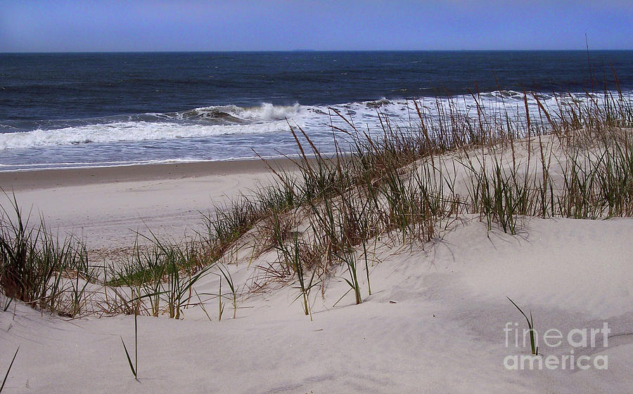 Dunes Photograph by CAC Graphics