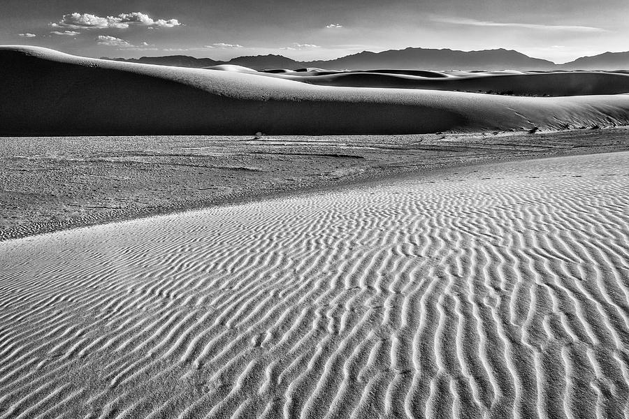 Dunes Details Photograph by Diana Powell - Fine Art America