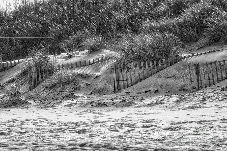 Dunes In Black And White Photograph By Karin Everhart - Fine Art America