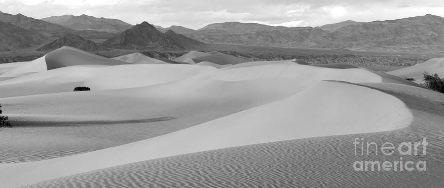 Dunes In The Valley Black And White Photograph by Adam Jewell
