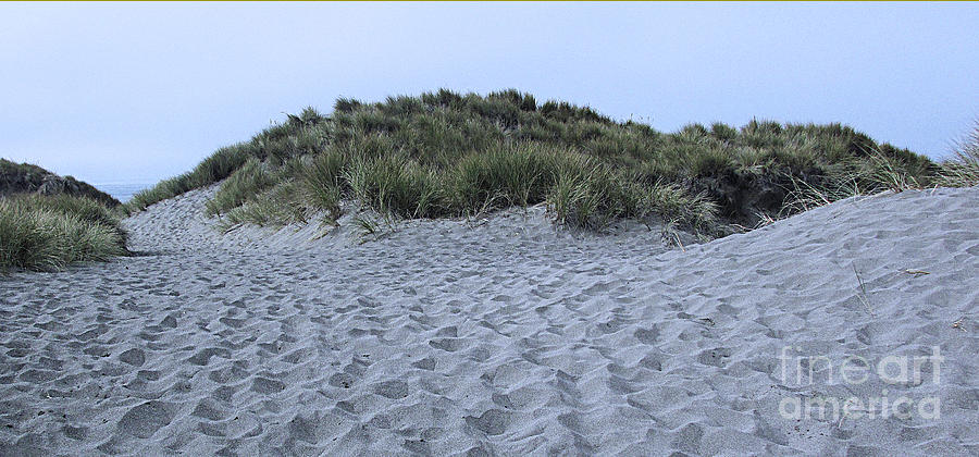 Dunes Photograph by Joyce Creswell