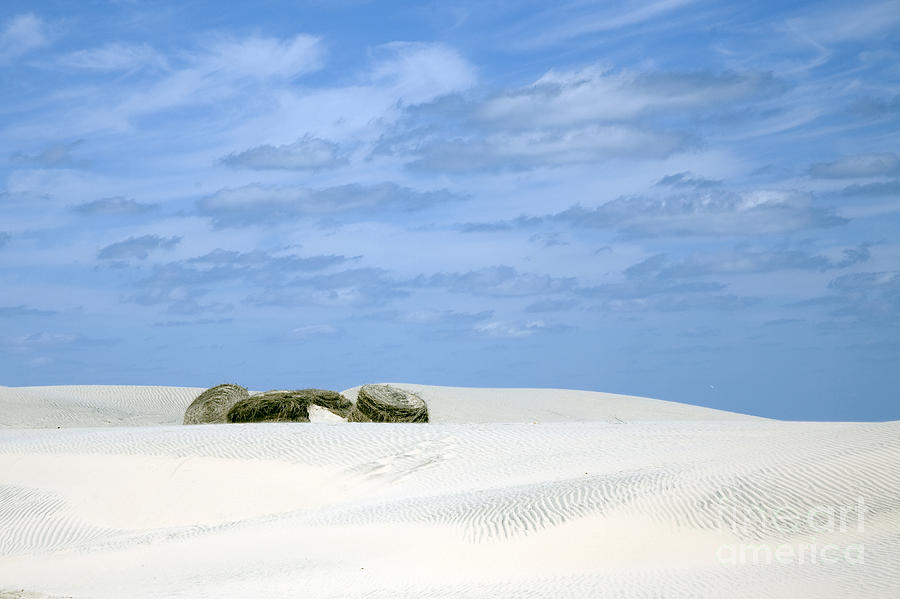 Dunes Photograph by Karen Foley