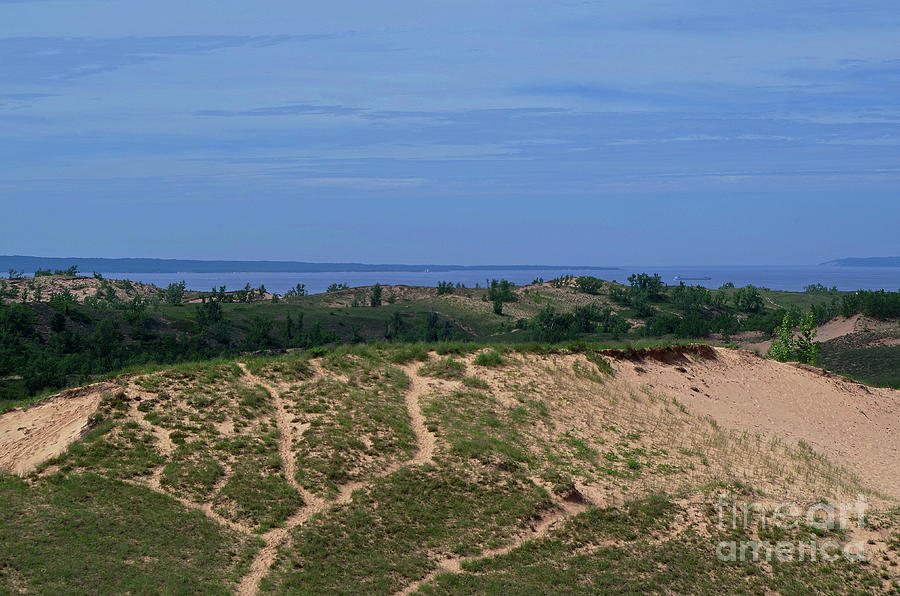 Dunes Landscape Photograph by Randy Pollard