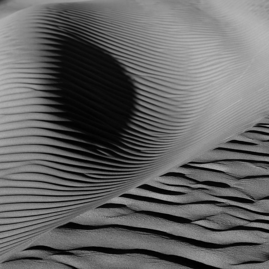 Sand Photograph - Dunes by Mihai Florea Sand Photograph - Dunes by Mihai Florea