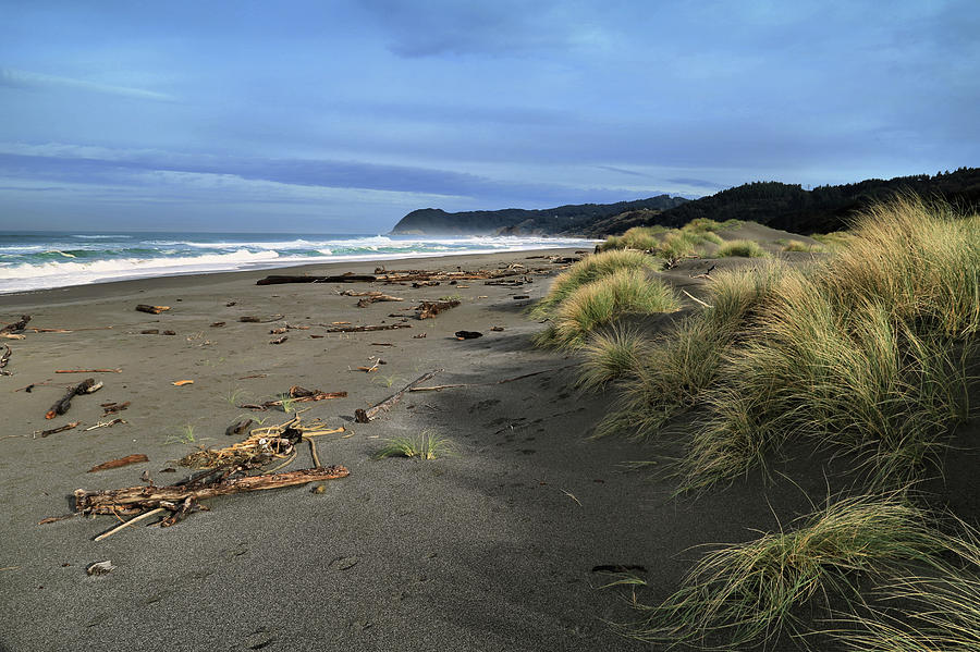 Dunes Of Oregon Photograph by Gary Yost